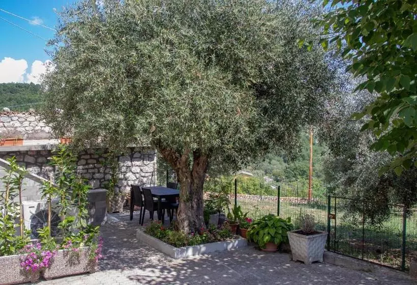 Casa Degli Ulivi Con Parcheggio Privato