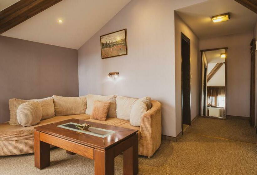 هتل хотел том и нези класик