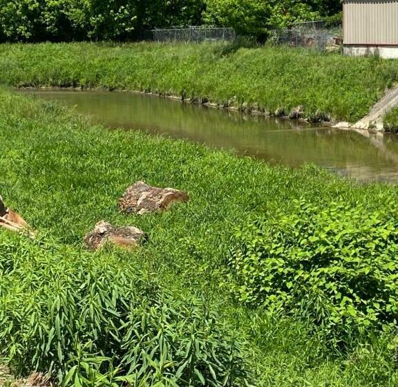 酒店 Andy Griffith Parkway Inn