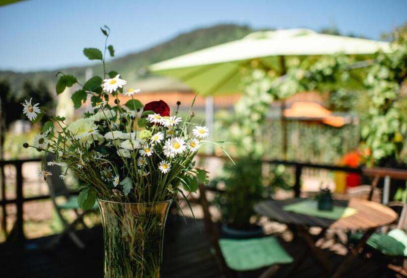 בית מלון כפרי Weingut Und Gästehaus Zilliken