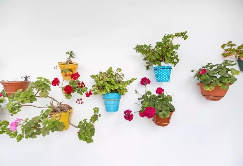 Piso Arquillo Del Reloj