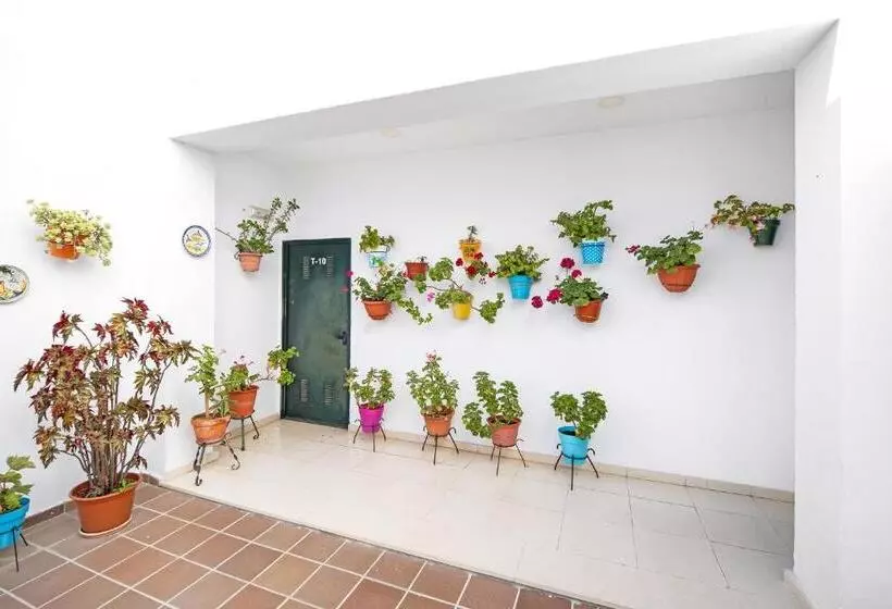 Piso Arquillo Del Reloj