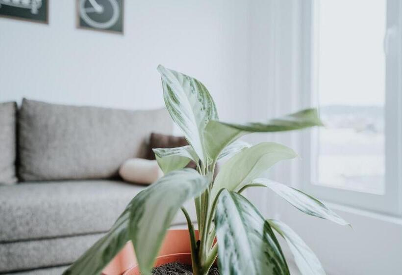 Aunaisin   Apartamento Con Excelentes Vistas