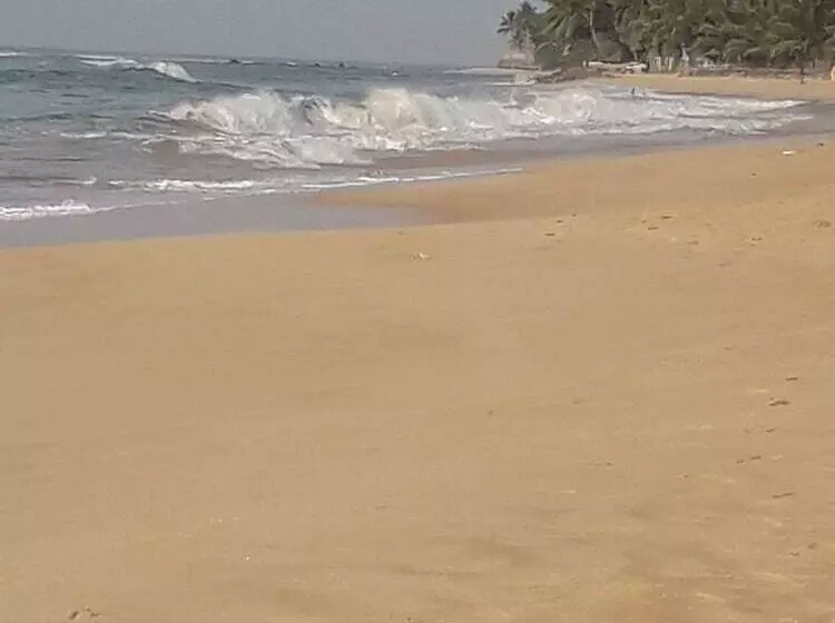 تختخواب و صبحانه Ravinvilla
