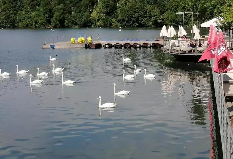 Glamping With A View