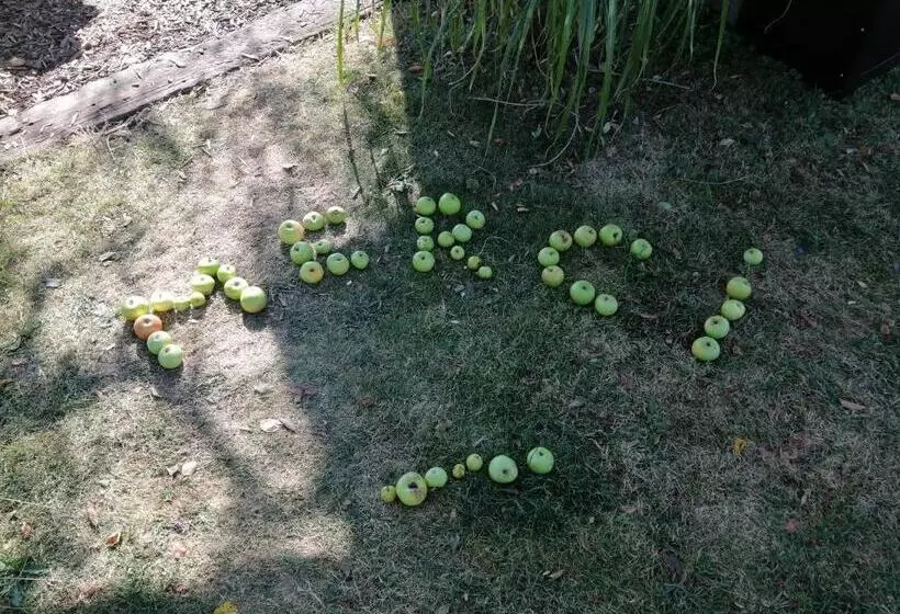 Glamping With A View