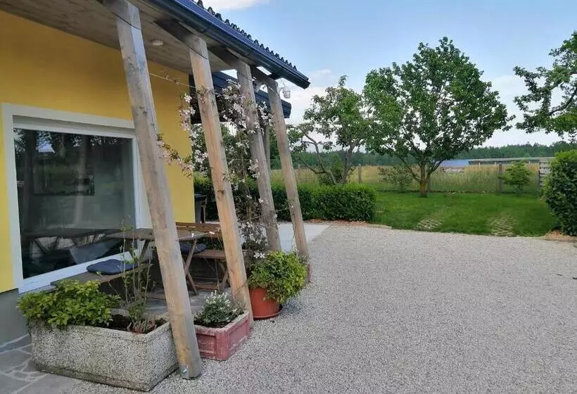 Glamping With A View