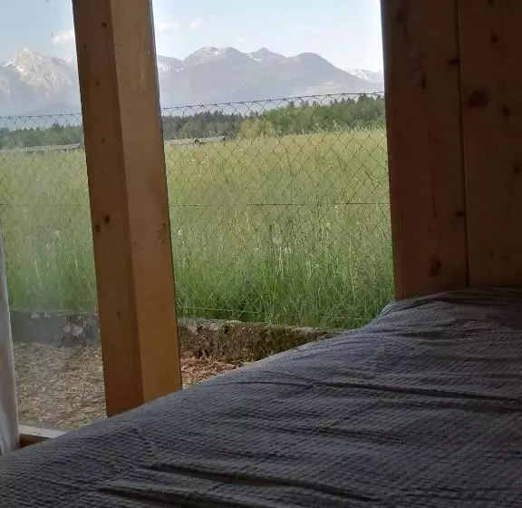Glamping With A View