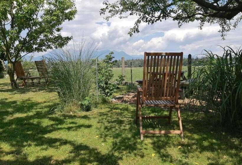 Glamping With A View