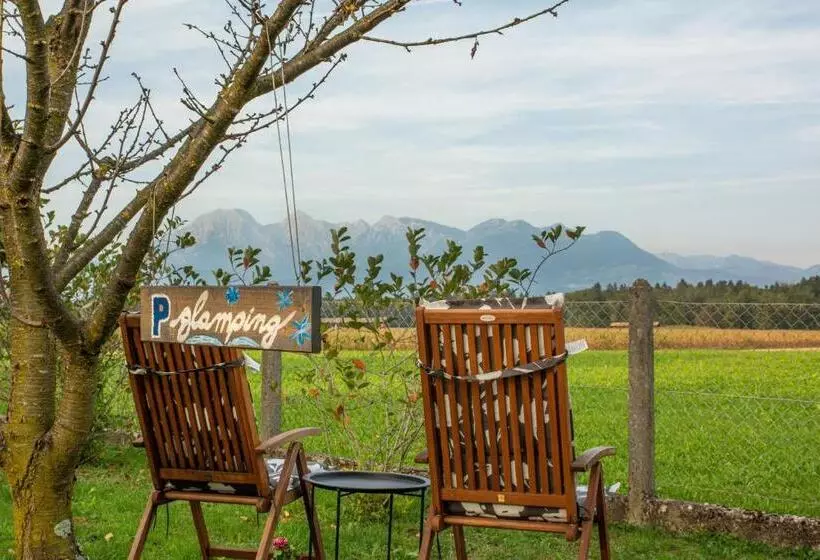 Glamping With A View