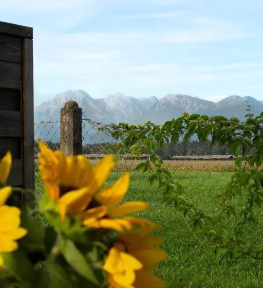 Glamping With A View