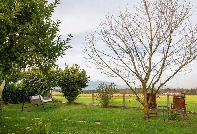 Glamping With A View