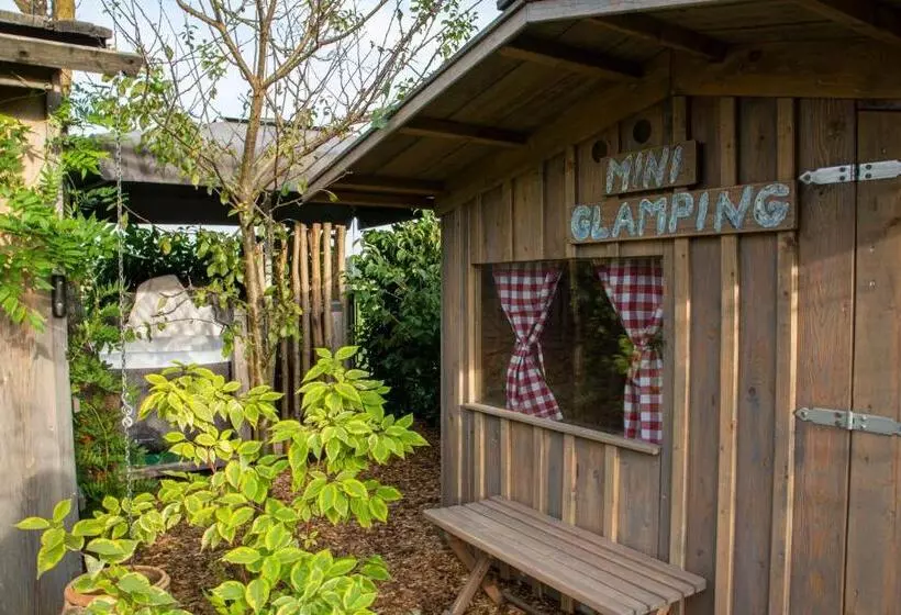 Glamping With A View