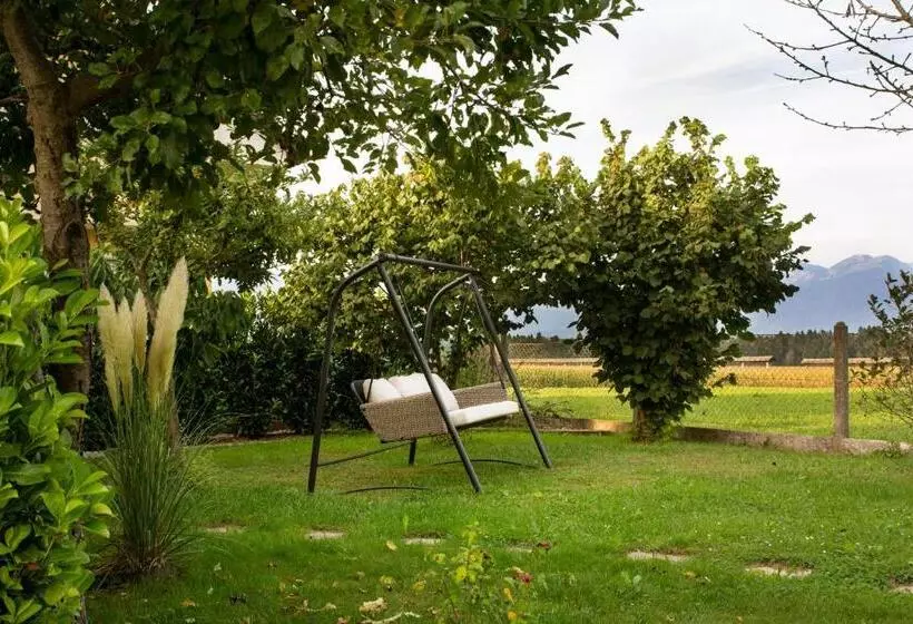 Glamping With A View