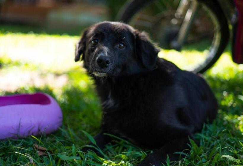 בית מלון כפרי Nakorn River View