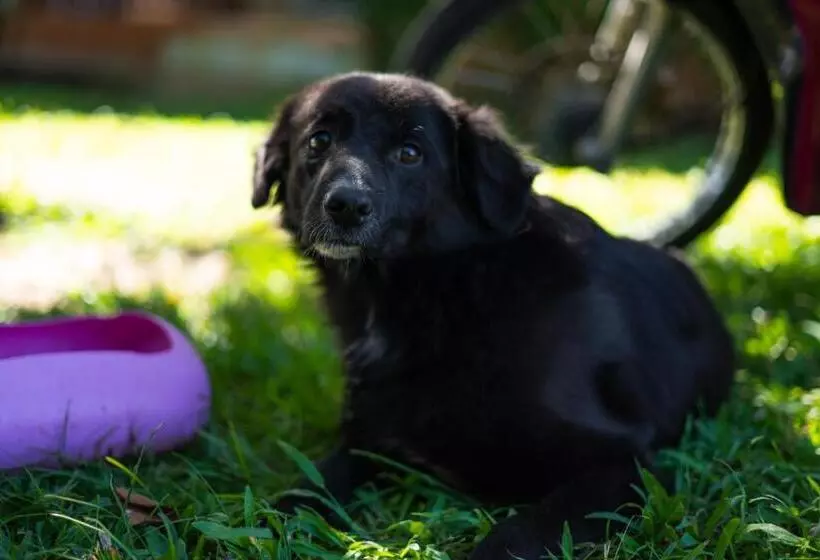 هتل Nakorn River View