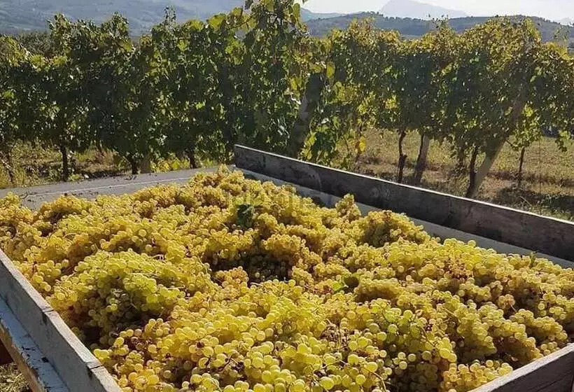 Immaculate 1bedroom Apartment In Ortezzano