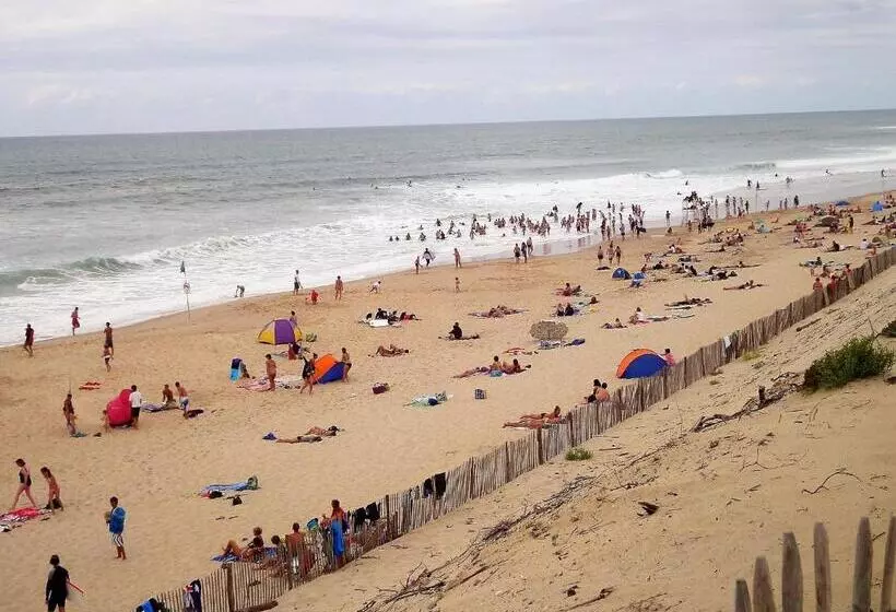 Location Bord Plage