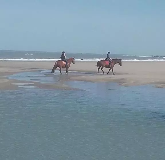 Location Bord Plage