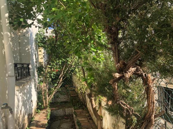 هاستل Sant Jordi Cami De Ronda