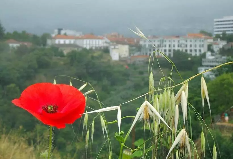 Douro   A Casa Do Rafael