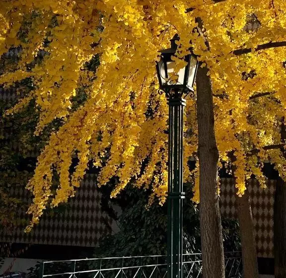 Douro   A Casa Do Rafael