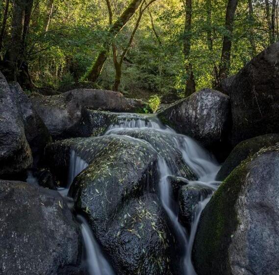 Fogar Rivoira Sacrata