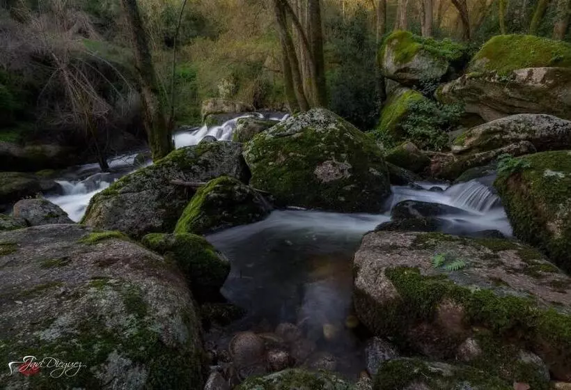 Fogar Rivoira Sacrata