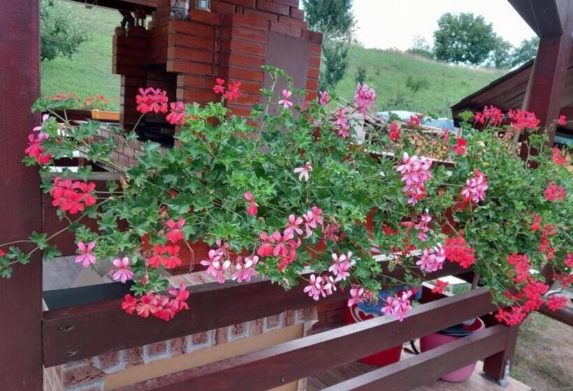 پانسیون Casa Alex