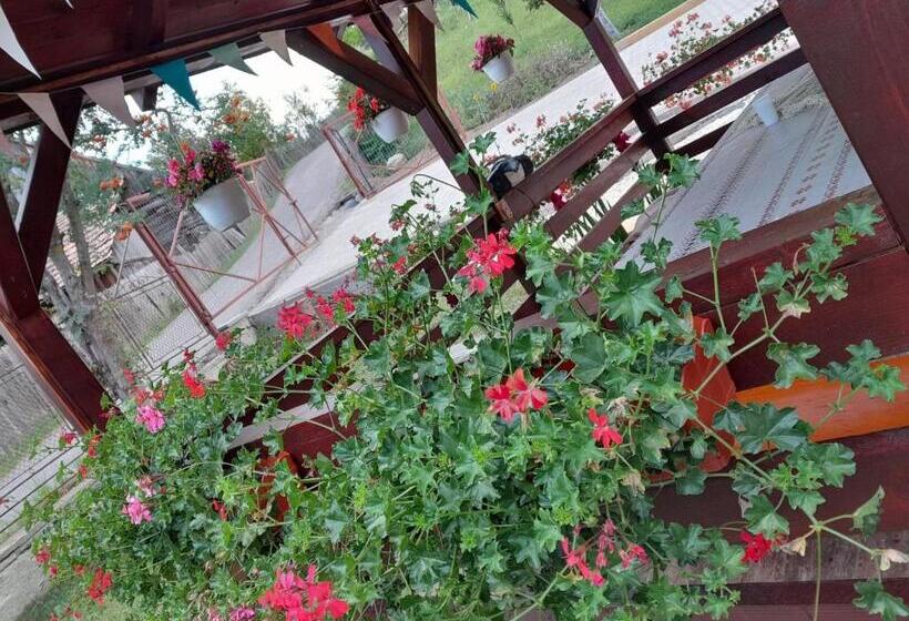 پانسیون Casa Alex