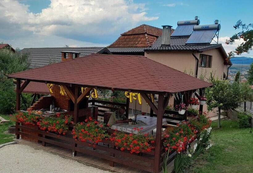 پانسیون Casa Alex