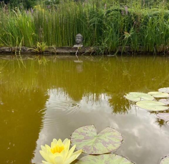 住宿加早餐  Chambres D Hôtes Kayros