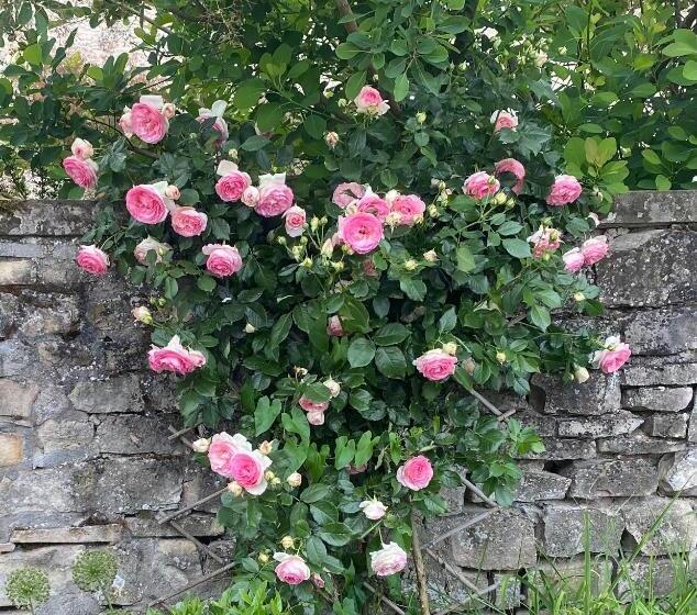 Bed and Breakfast Chambres D Hôtes Kayros