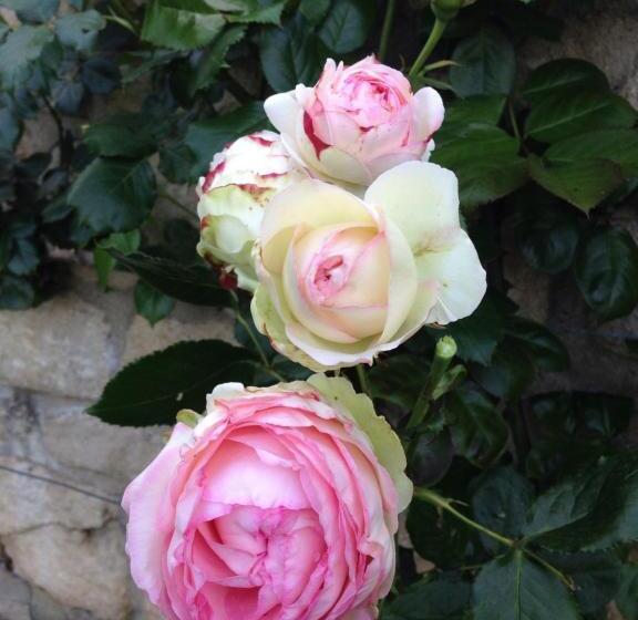 住宿加早餐  Chambres D Hôtes Kayros