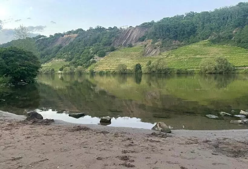 Ferienhaus Auszeit Am Gülser Moselbogen 20 In Koblenz