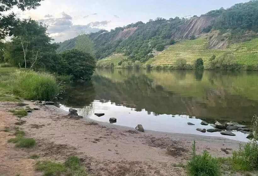 Ferienhaus Auszeit Am Gülser Moselbogen 20 In Koblenz