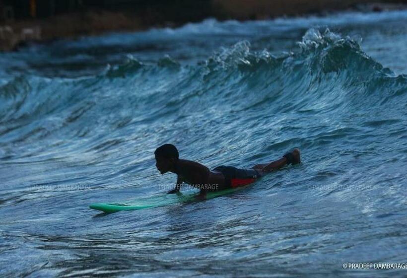 فندق Monkey Beach