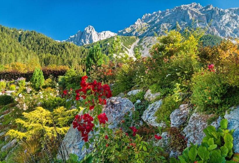 Pension Stoffenbauer