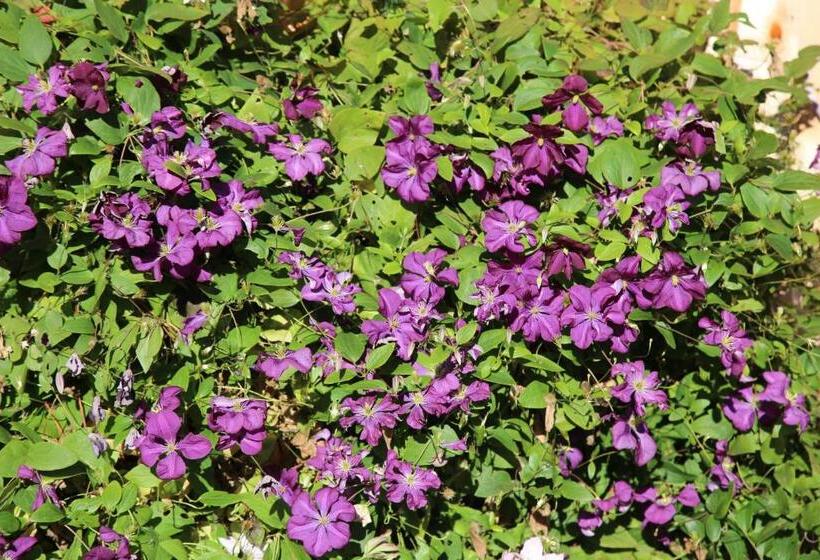 Pension Stoffenbauer