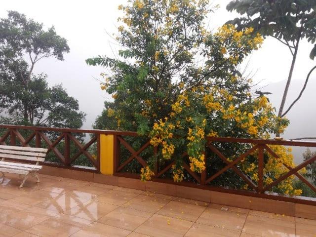 Sitio Sombra Da Mata