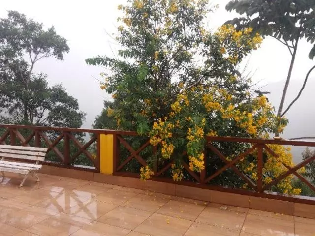 Sitio Sombra Da Mata