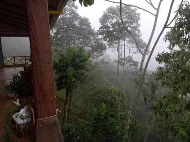 Sitio Sombra Da Mata