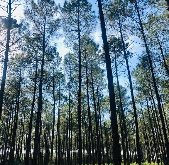 Villa Le Faré 10 Min Des Plages   Climatisée   8 Pers   Piscine Chauffée Du 1er Mai Au 30 Sept