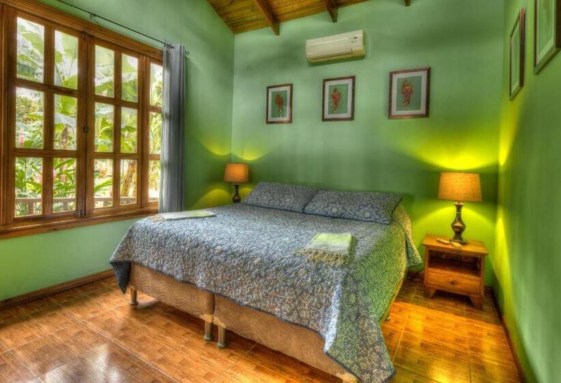 Beachfront Villa Sea Breeze W Ac And Pool