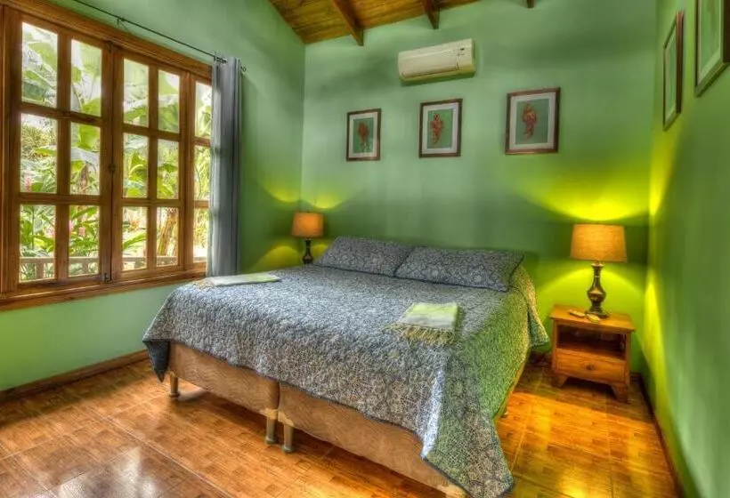 Beachfront Villa Sea Breeze W Ac And Pool
