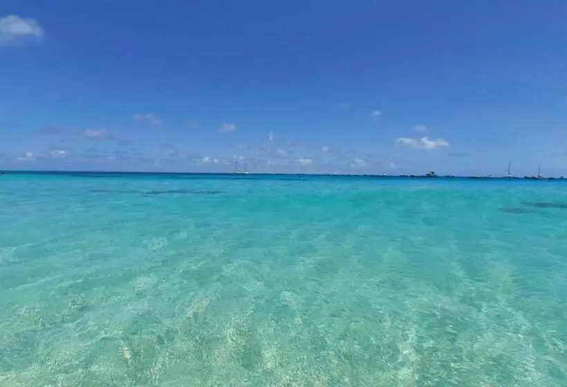 Branco Suites   Rooms & Holiday Apartments