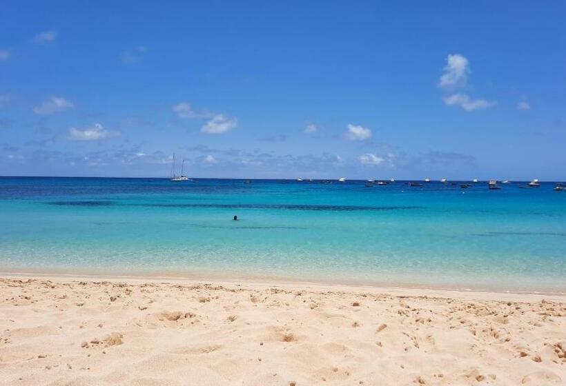 Branco Suites Rooms & Holiday Apartments