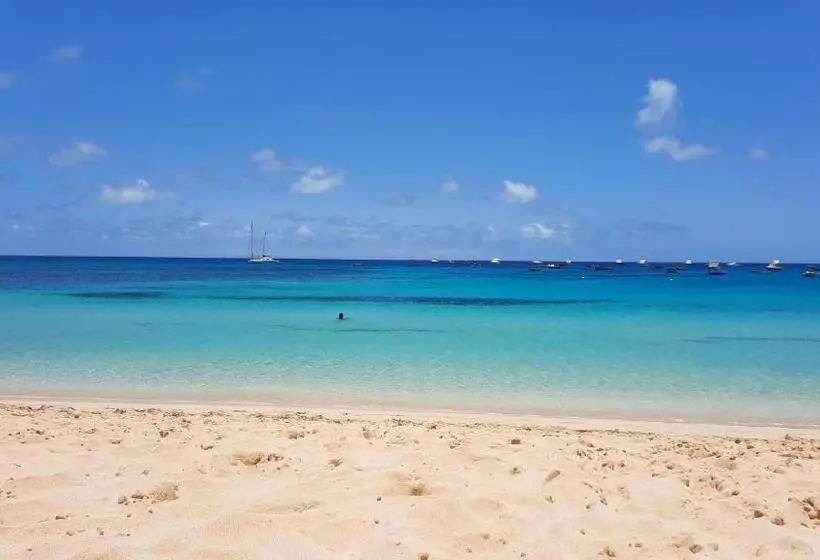 Branco Suites   Rooms & Holiday Apartments