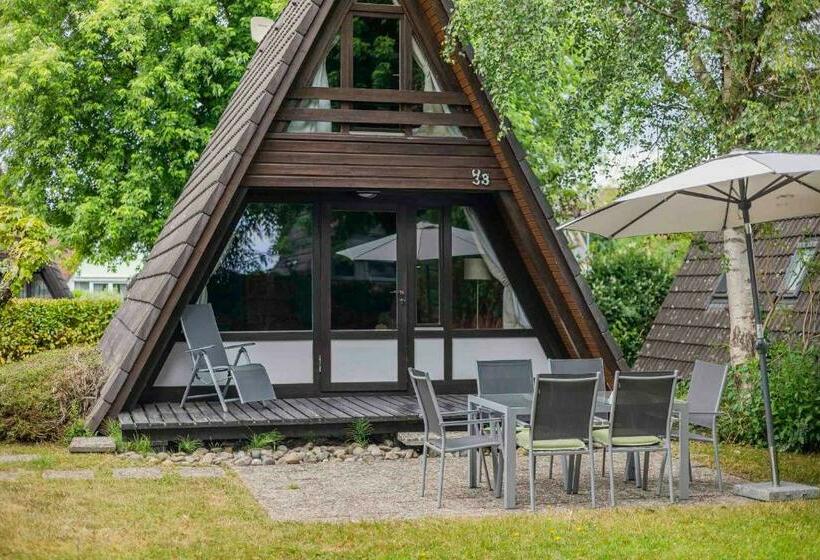 Ferienwohnpark Immenstaad Am Bodensee Nurdachhaus Typ 7 Nd 38