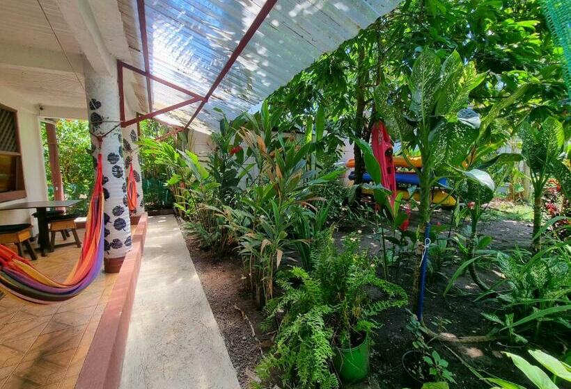 פנסיון Wildlife Tortuguero